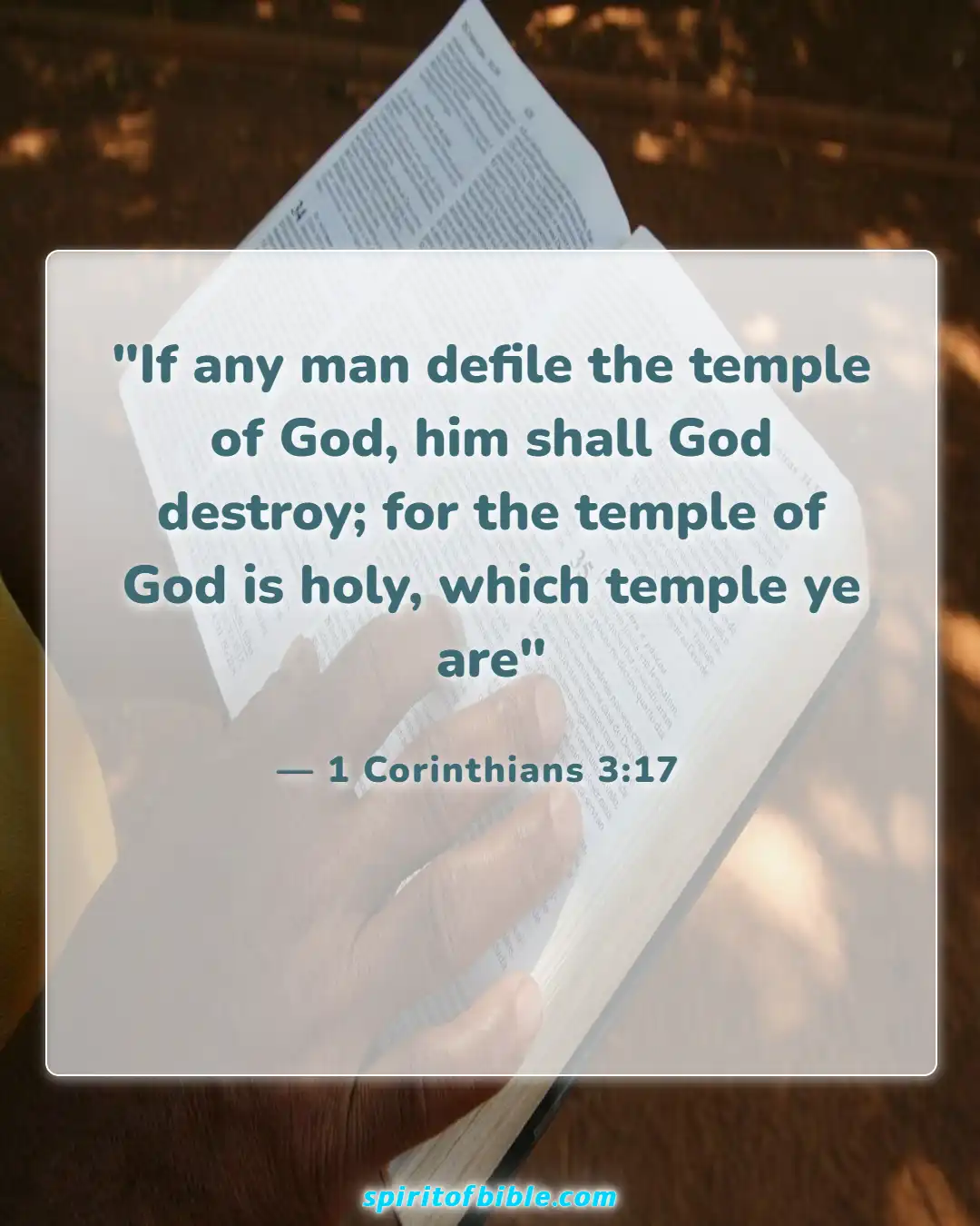 Bible verses About Temple Of The Holy Spirit (1 Corinthians 3:17)