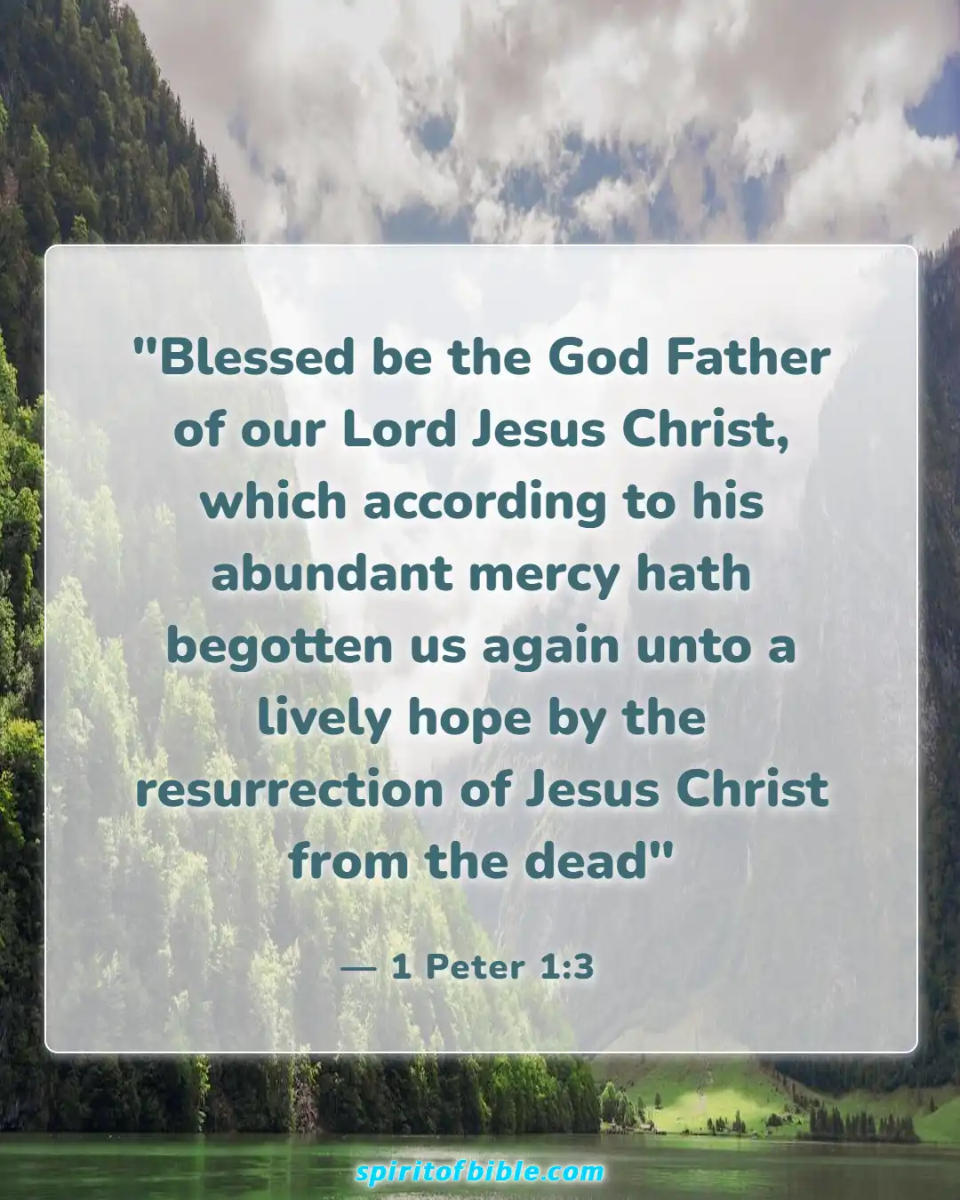 Bible Verses About Hope For The Future (1 Peter 1:3)