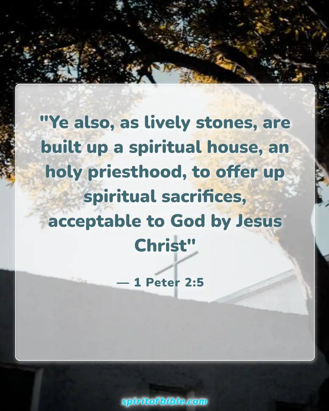 Bible verses About Temple Of The Holy Spirit (1 Peter 2:5)