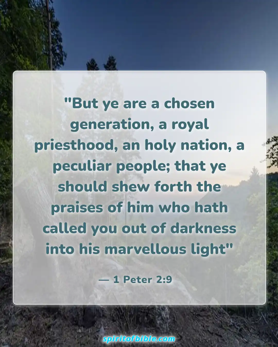 Bible Verses About Life Changing (1 Peter 2:9)