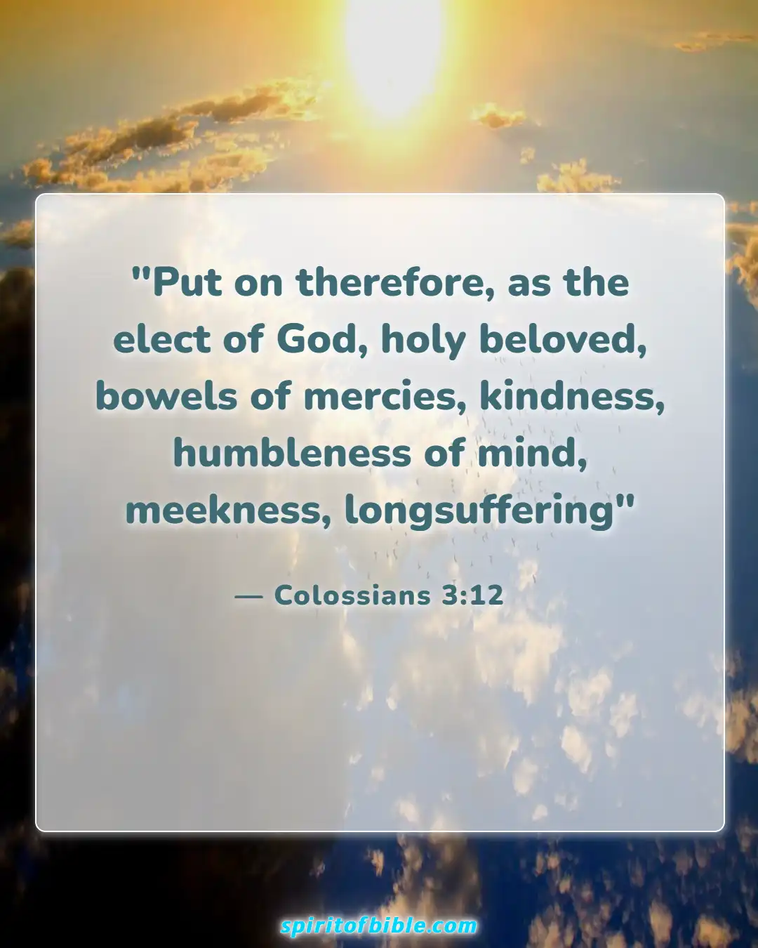 Bible Verses About Loving Your Neighbor (Colossians 3:12)