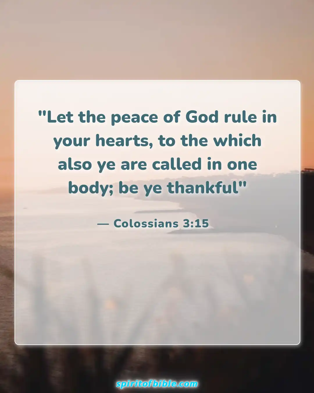 Bible Verses About Letting Go Of Someone You Love (Colossians 3:15)