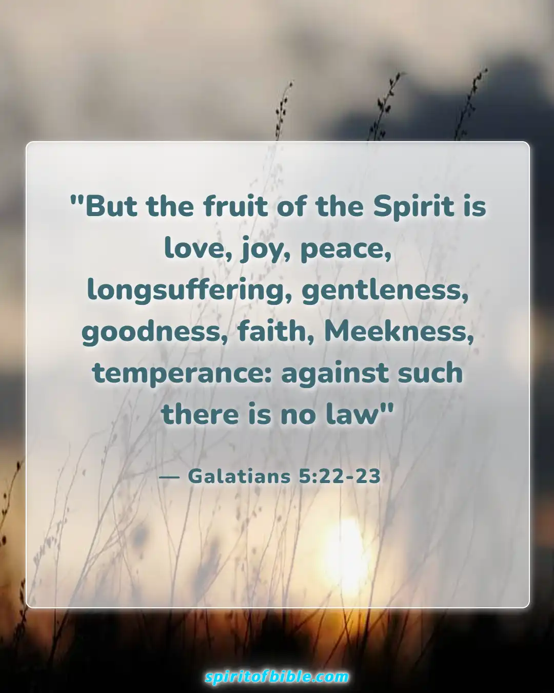 Bible verses About Temple Of The Holy Spirit (Galatians 5:22-23)