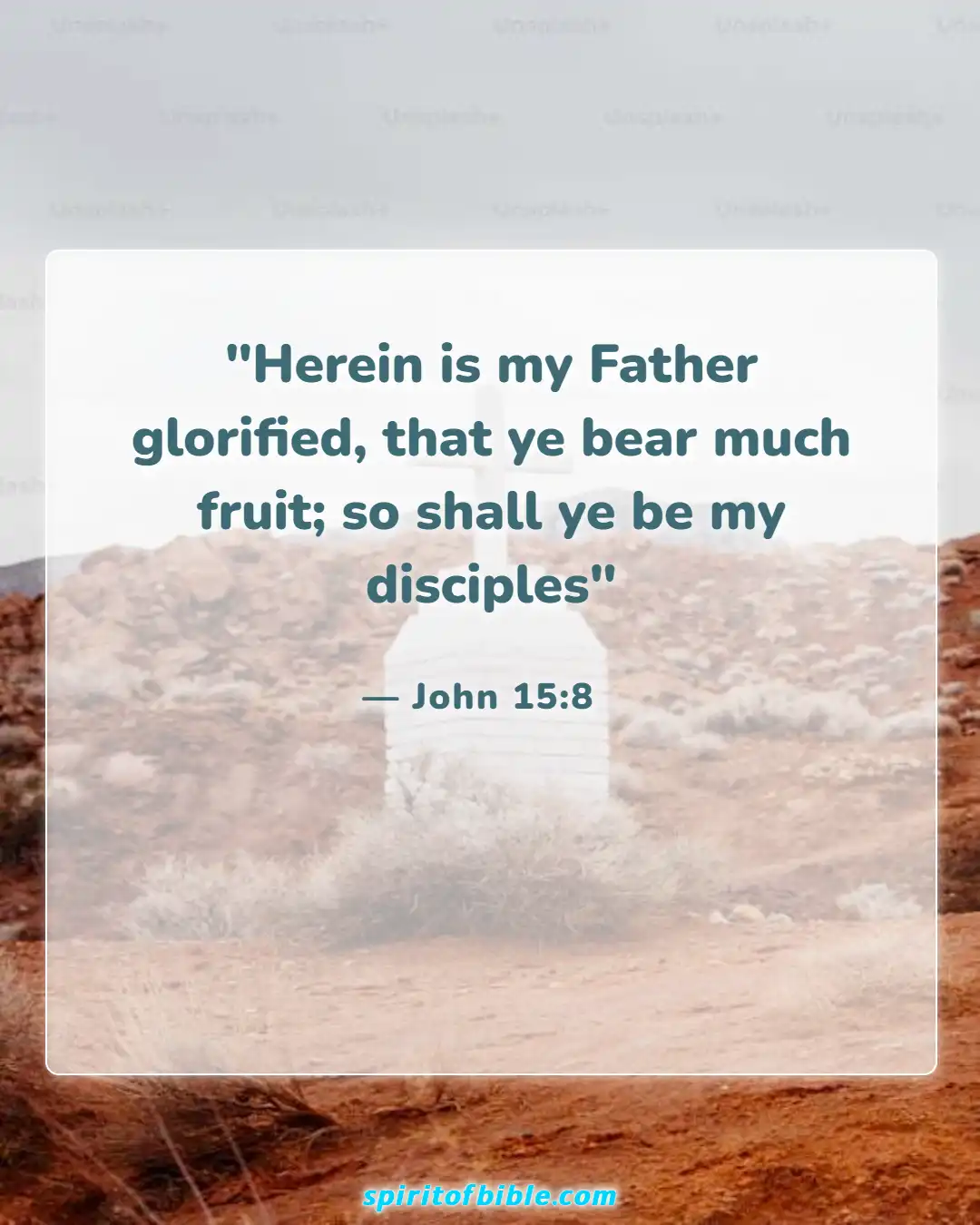 Bible Verses About Real Christian (John 15:8)