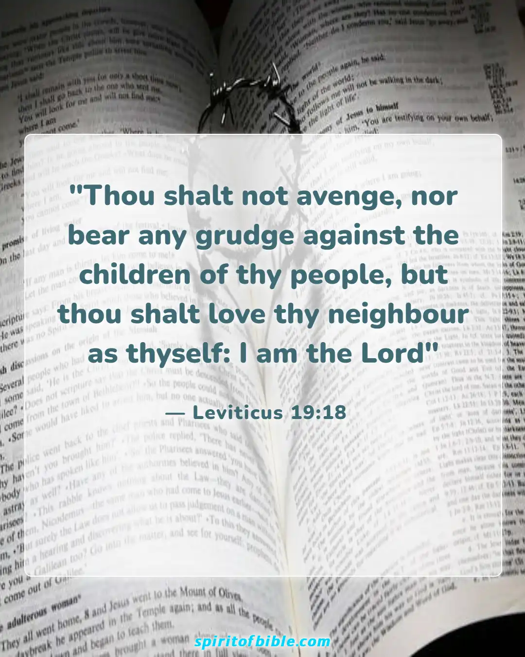 Bible Verses About Loving Your Neighbor (Leviticus 19:18)