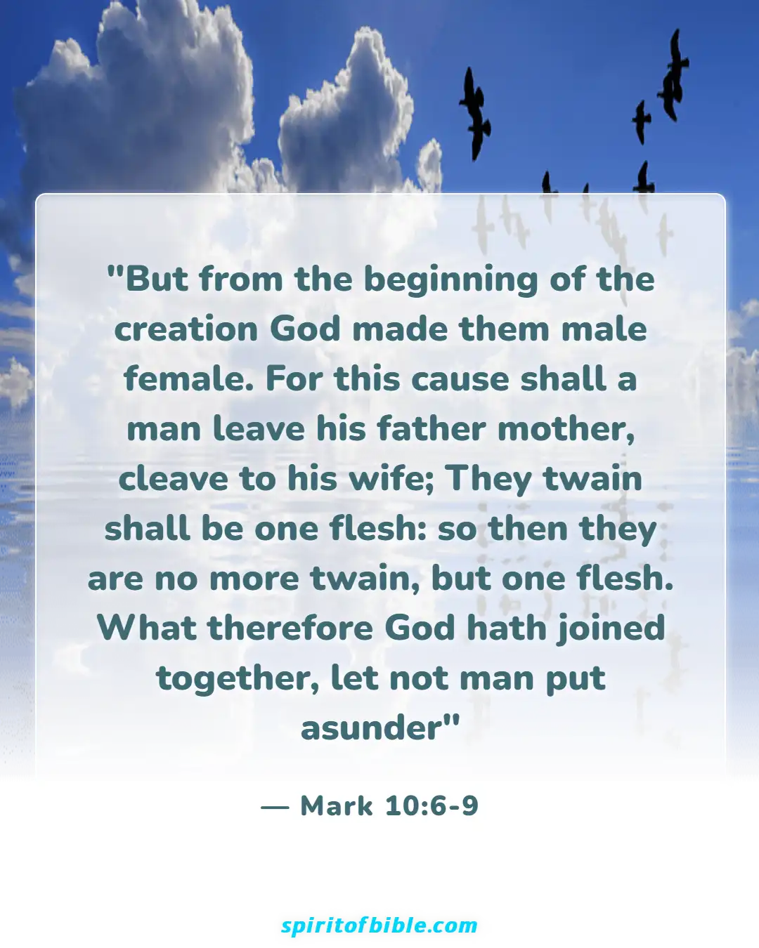 Bible Verses About Husband And Wife (Mark 10:6-9)