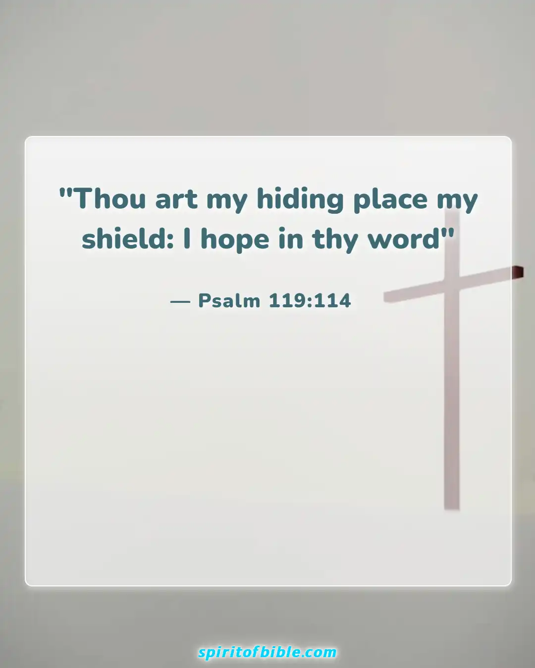 Bible Verses About Hope For The Future (Psalm 119:114)