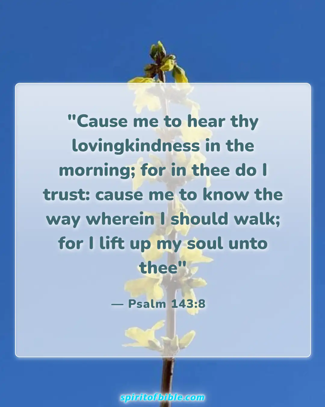 Bible Verses About Good Morning (Psalm 143:8)