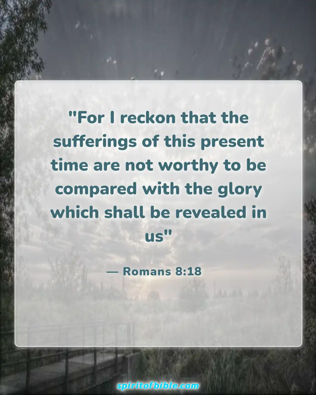 Bible Verses About Patience In Hard Times (Romans 8:18)