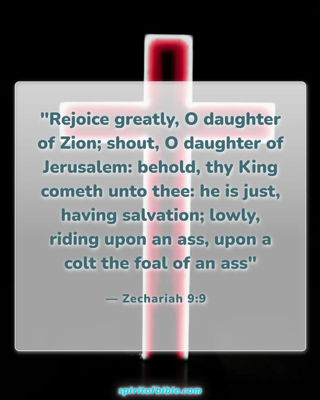 Bible Verses About Jesus Is Almighty God (Zechariah 9:9)